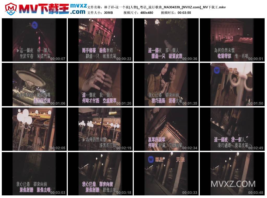 林子祥-这一个夜(人物)_粤语_流行歌曲_MA304339